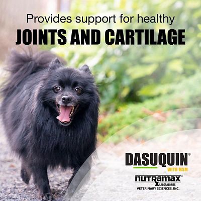 Image showing  Pet Joint Health Supplement Soft Chews with MSM