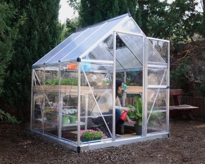 Image showing  6 L x 6 W ft. Silver Canopia Hybrid Greenhouse
