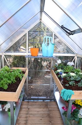 Image showing 9 th Canopia by Palram 6 L x 6 W ft. Silver Canopia Hybrid Greenhouse