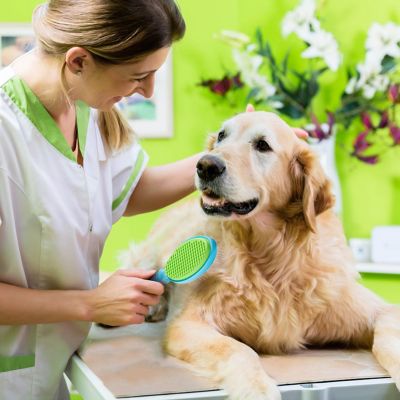 Image showing  2-in-1 Dog Hair Brush and Hair Remover with Safe Round Pin Edges