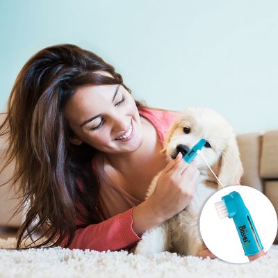 Image showing  Dog Toothbrush Kit for Dogs with 2 Dual-Headed Dog Toothbrushes and 1 Finger Dog Toothbrush