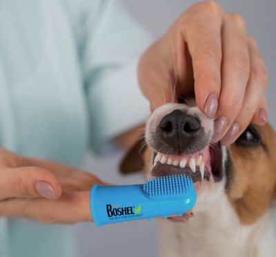 Image showing 6 th Boshel Dog Finger Toothbrush Set - 8 Pack Includes 6 Silicone Bristle + 2 Nylon Bristle Dog & Cat Toothbrushes