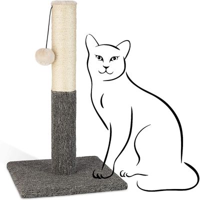 Pawbee 20 in. Cat Scratching Post with Natural Sisal Rope and Hanging Ball Toy, Carpet Covered Base