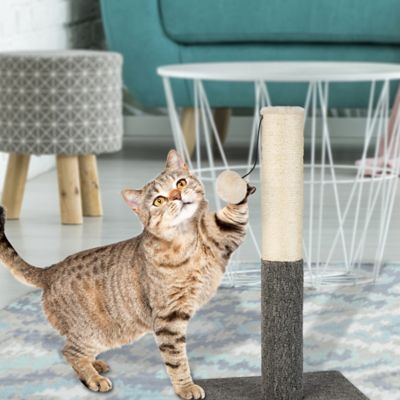 Image showing  Natural Sisal Rope Cat Scratching Post with Hanging Ball Toy and Carpet-Covered Base, 20 in.