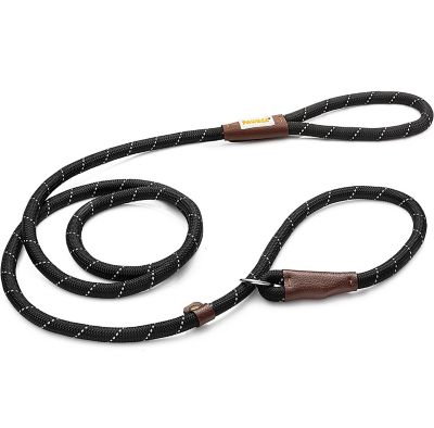 Durable 2024 dog leash