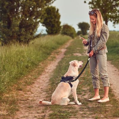 Image showing 5 th Pawbee 3-in-1 Easy Clip Dog Car Seat Belt Harnesses, 2-Pack