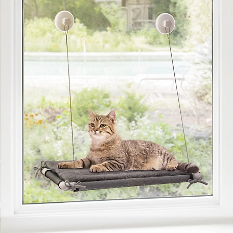 Pawbee Cat Window Perch with Extra-Strong Screw Knob Suction Cups