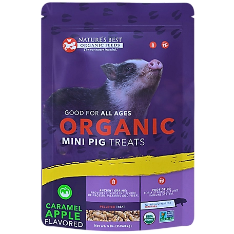 Nature's Best Organic Mini Pig Treats
