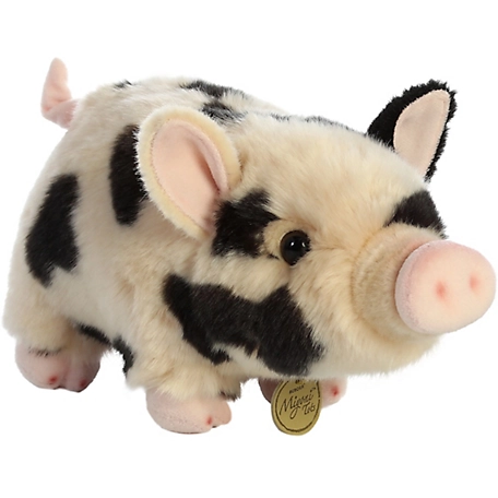 potbellied pig-02, Onno