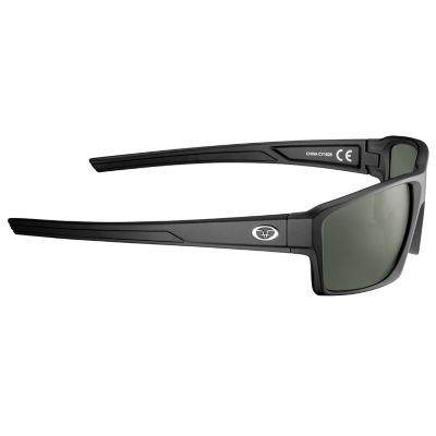 Image showing  Windley Polarized Sunglasses, Black, Smoke