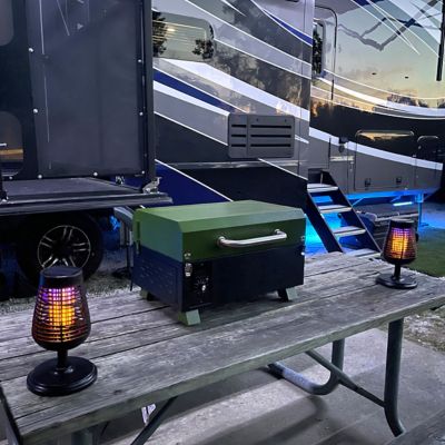 Image showing  256 sq. in. Portable Electric Start Wood Pellet Grill and Smoker, Green