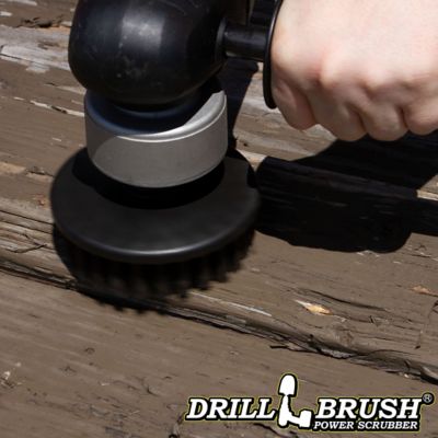 Image showing  Industrial, Contractor, Scrub Brush, Threaded 5/16 x 24, Ultra Stiff Bristles, 5IN-S-K-T-DB