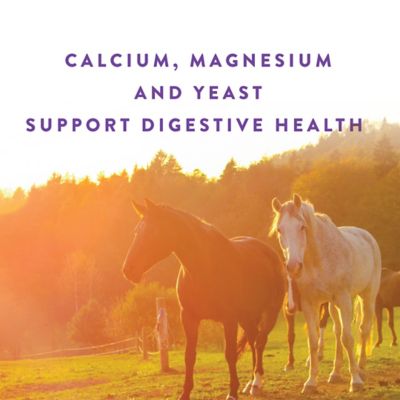 Image showing  Omega Pelleted Senior Horse Supplement