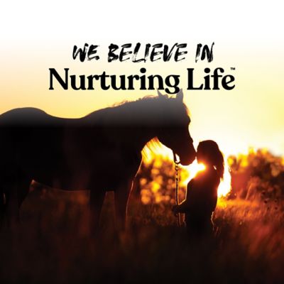 Image showing 5 th Manna Pro Omega Senior Horse Supplement