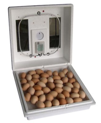 Farm Innovators Still Air Incubator, 2100