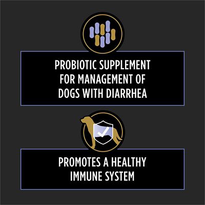 Image showing  FortiFlora Chewable Supplement Tablets for Dogs