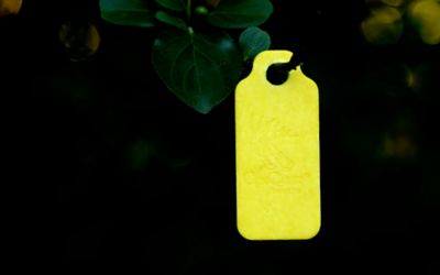 Image showing  EverCalm ThermaPads, 5-Pack