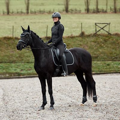Image showing  AdePTO Fetlock Horse Boots