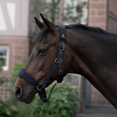 Image showing  Graz Halter