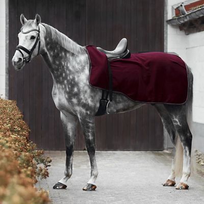 Image showing  Kiel Polyester Fleece Riding Horse Blanket