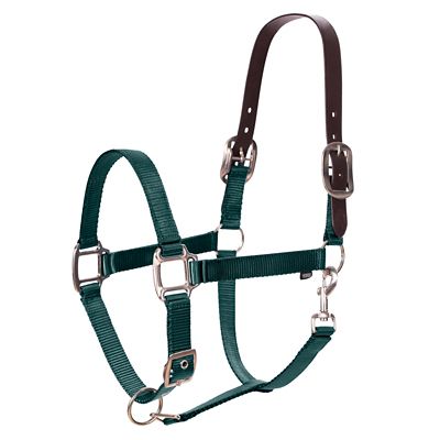 Image showing  Loki Polyester Breakaway Halter