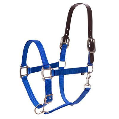 Equinavia Loki Polyester Breakaway Halter