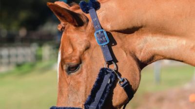 Image showing  Valkyrie Ultra Fleece Breakaway Halter