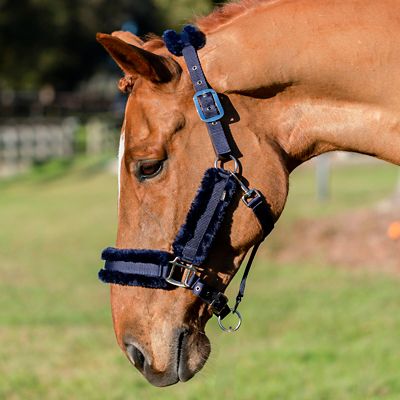 Image showing  Valkyrie Ultra Fleece Breakaway Halter