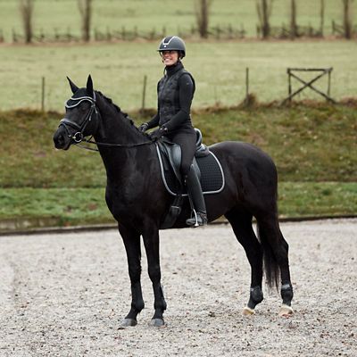 Image showing  AdePTO Tendon Boots