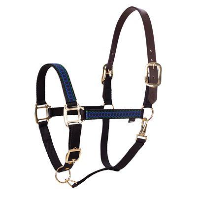 Image showing  Pegasus Ribbon Breakaway Nylon Horse Halter