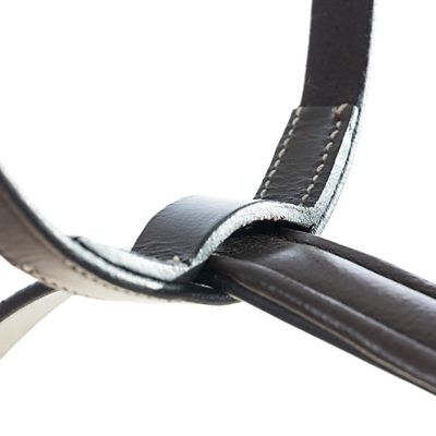 Image showing  Saga Running Martingale