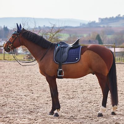 Image showing  Zurich Dressage Saddle Pad