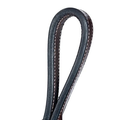 Image showing  Valkyrie Fancy-Stitched Standing Martingale