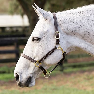 Equinavia Valkyrie Triple-Stitched Leather Halter