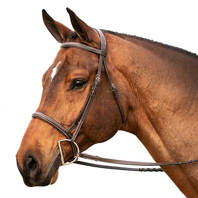 Equinavia Saga Fancy-Stitched Hunter Bridle and Reins