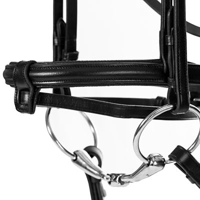 Image showing  Saga Padded Dressage Bridle and Reins