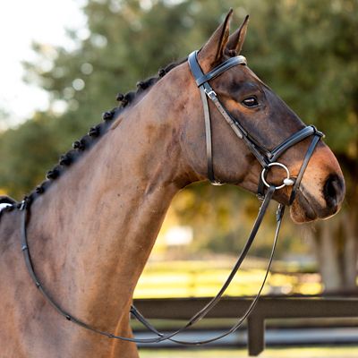 Image showing 6 th Equinavia Saga Padded Dressage Bridle and Reins