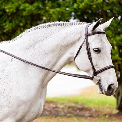 Image showing 0 th Equinavia Valkyrie Fancy-Stitched Hunter Bridle and Reins