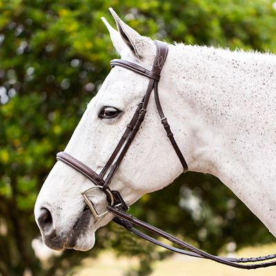 Image showing 7 th Equinavia Valkyrie Fancy-Stitched Hunter Bridle and Reins
