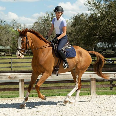 Image showing  Martha Short Sleeved Show Shirt