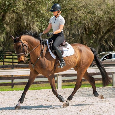 Image showing  Women's Maud Knee-Patch Breeches