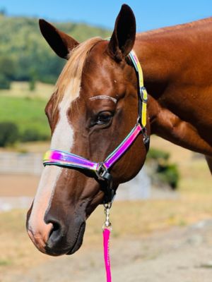 Image showing  Holographic Leather Halter