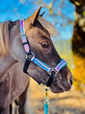Image showing  Holographic Leather Halter