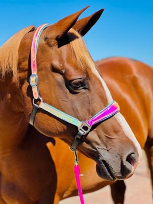 Image showing  Holographic Leather Halter