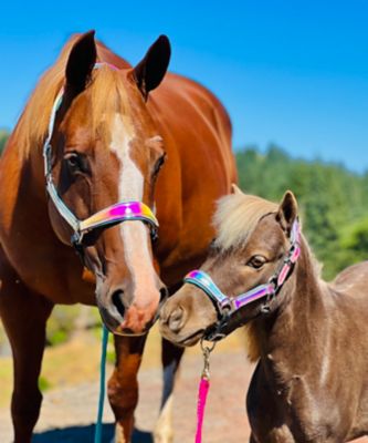 Image showing  Holographic Leather Halter
