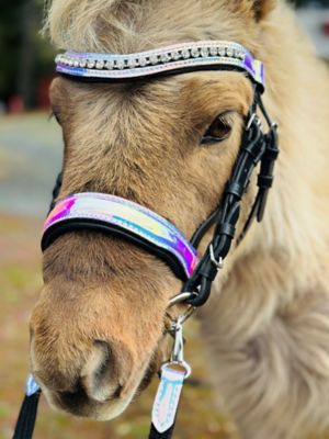 Star Point Horsemanship Rainbow Cheetah Bridle & Reins Set