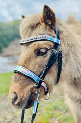 Image showing  Miniature Horse Silver Holographic Bridle & Reins Set