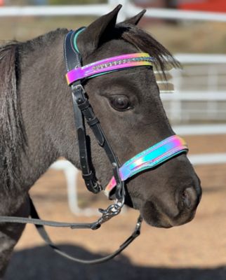 Star Point Horsemanship Miniature Horse Holographic Leather Bridle Set