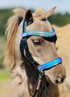 Image showing  Holographic Leather Bridle Set, Miniature Horse