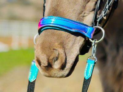 Image showing  Holographic Leather Bridle Set, Miniature Horse